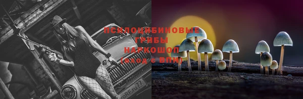 Альфа ПВП Балахна