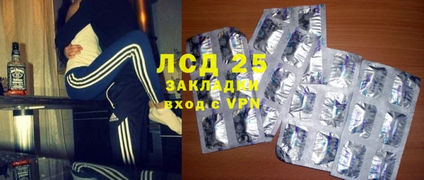 шишки Слюдянка