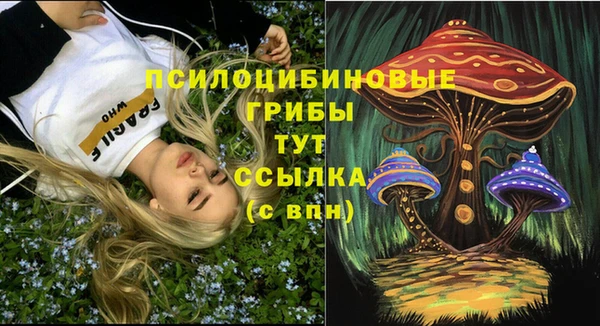 индика Снежногорск