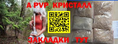 стаф Бийск