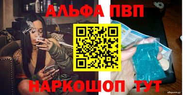 гашик Берёзовский