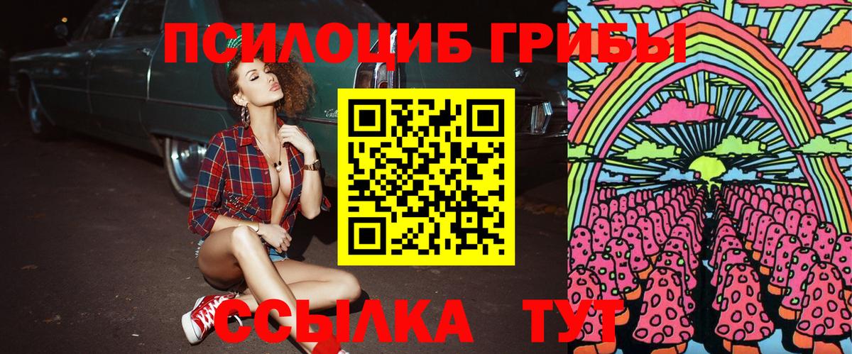 Гудермес  Галлюциногенные грибы Psilocybine cubensis  Вход с VPN  Галлюциногенные грибы Psilocybine cubensis 