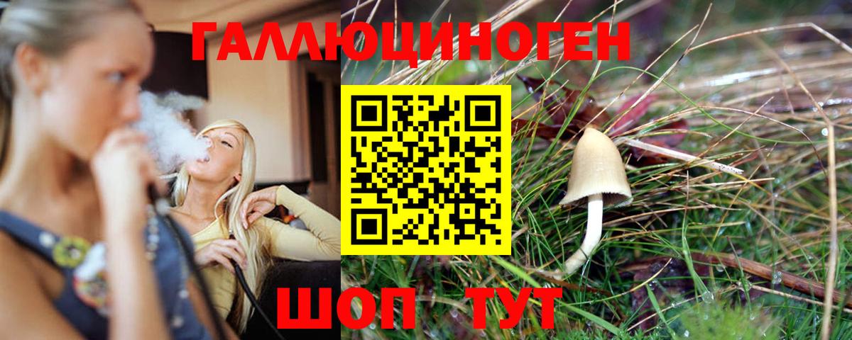 Галлюциногенные грибы мухоморы Гудермес